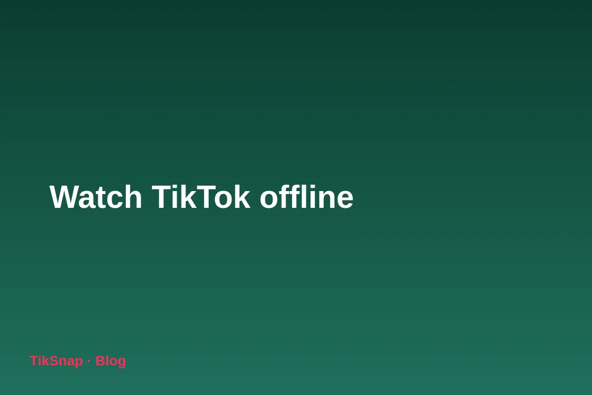 How to Watch TikTok Without Internet: Guide to Viewing Videos Offline on Flights and Trips (2026)