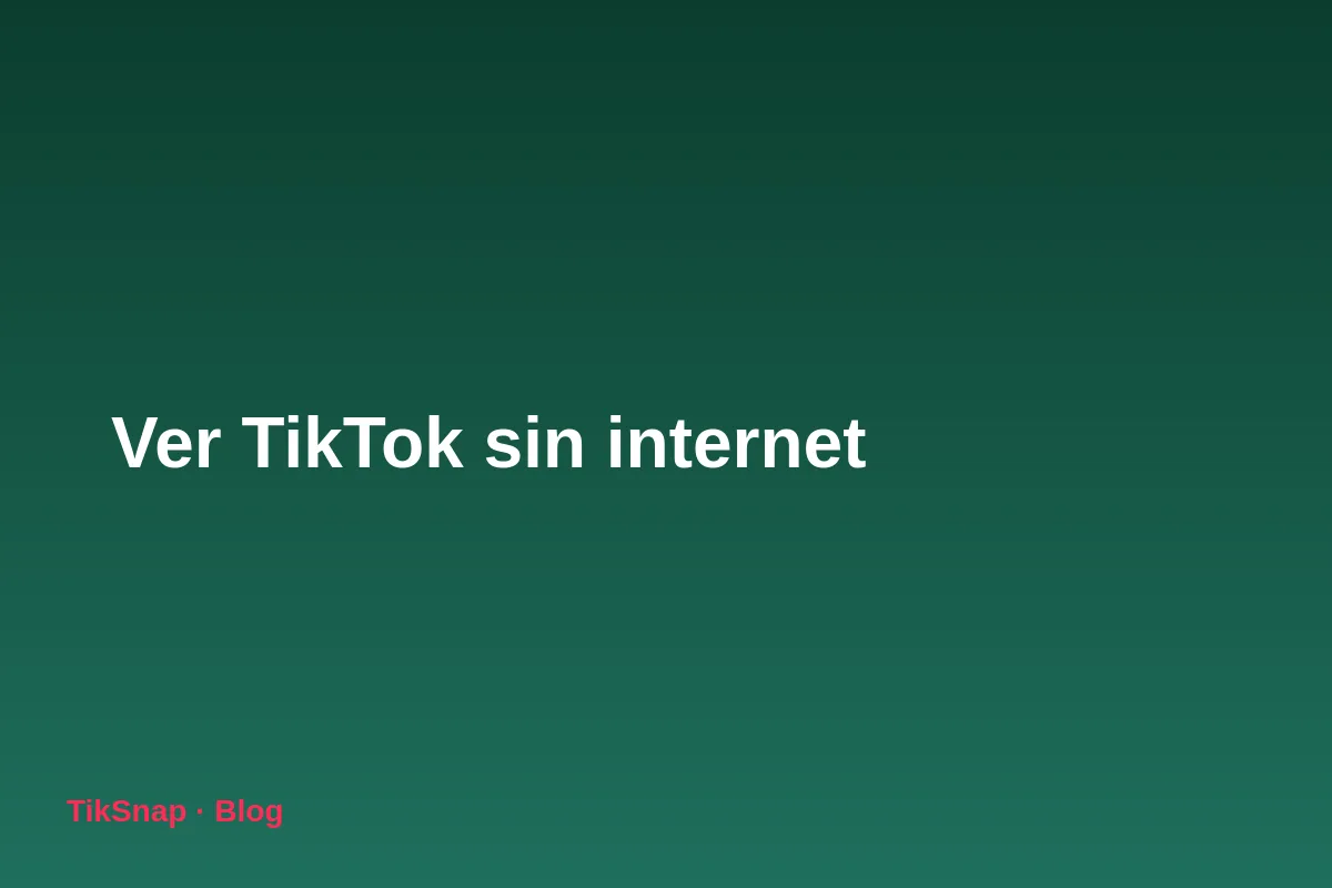Cómo Ver TikTok sin Internet: Guía para Ver Vídeos Offline en Vuelos y Viajes (2026)